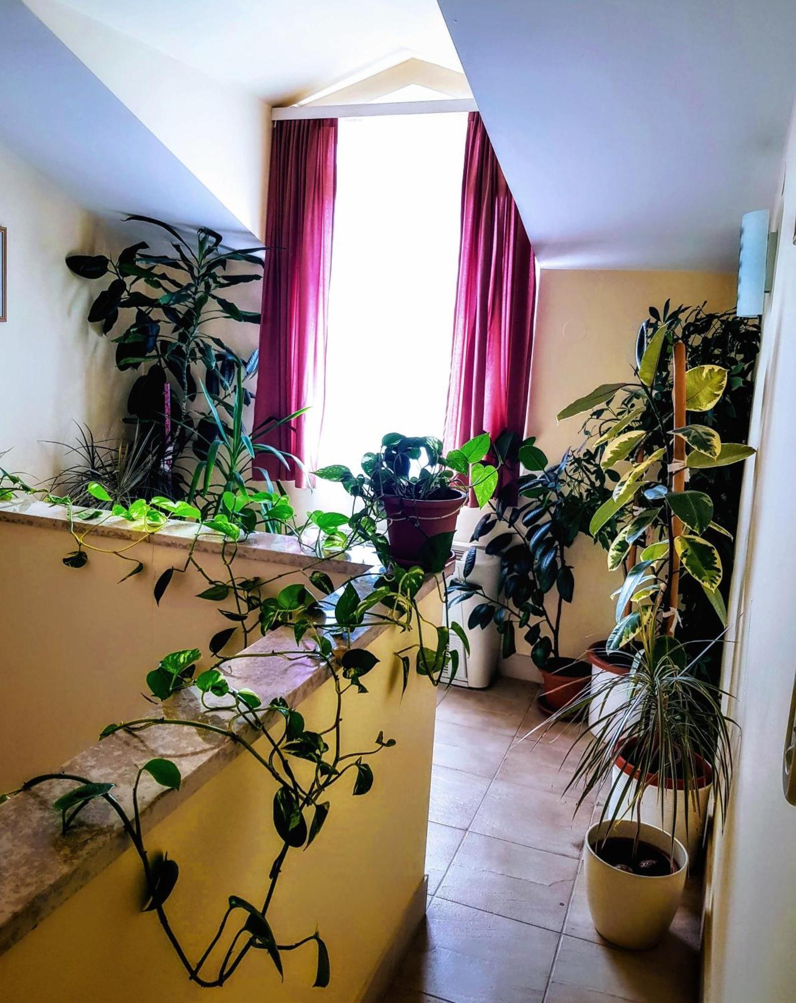 Villa Palcic II Novalja Eksteriør bilde