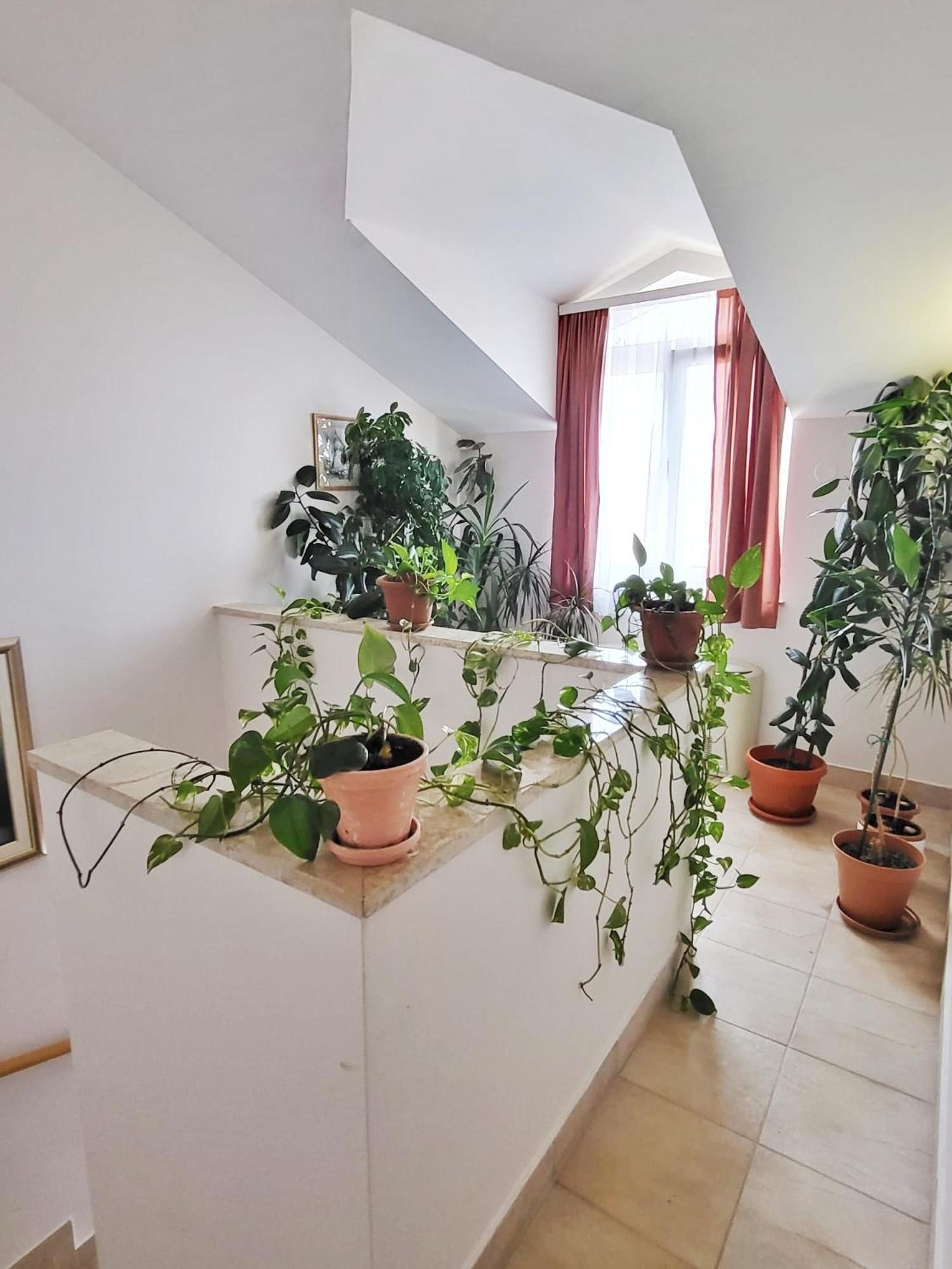 Villa Palcic II Novalja Eksteriør bilde